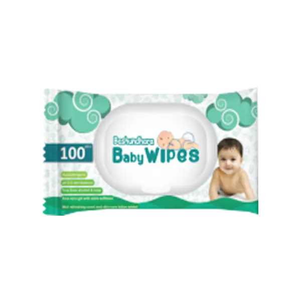 Bashundhara Wet Wipes (100 pcs)